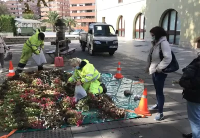 Reparto de flores Galdakao