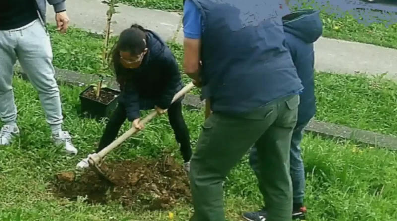 Zuhaitz Eguna-Día del Árbol Etxebarri