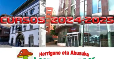 Arrigorriaga Cursos Talleres y Ludoteca