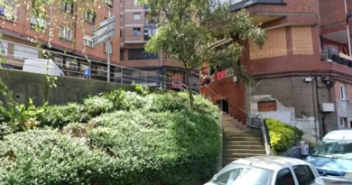 Viaducto Lehendakari Agirre 9 Basauri