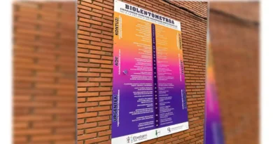 Etxebarri violentómetro gigante