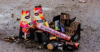 Ayuntamiento de Basauri pirotécnia