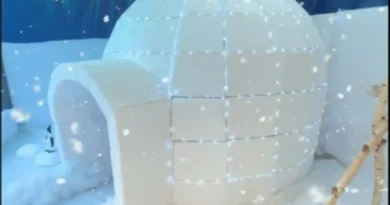 Muebles Alberto Concurso de escaparates Galdakao