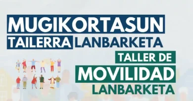 Arrigorriaga taller movilidad