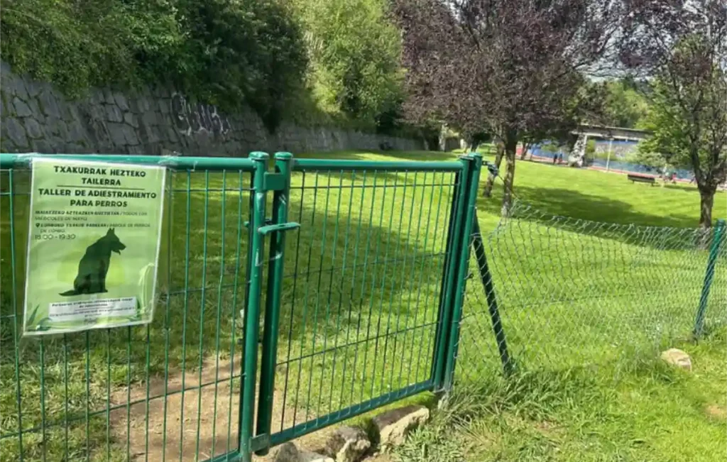 Cursos de adiestramiento canino en Arrigorriaga