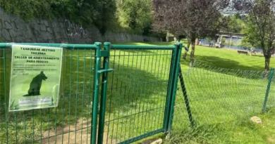 Cursos de adiestramiento canino en Arrigorriaga