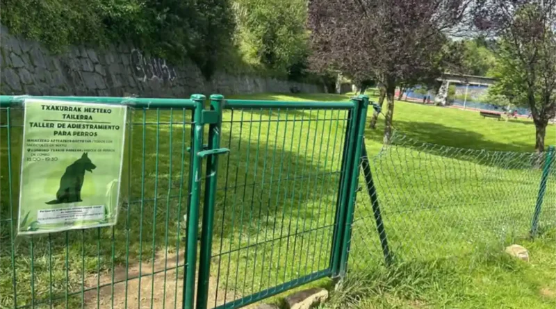Cursos de adiestramiento canino en Arrigorriaga
