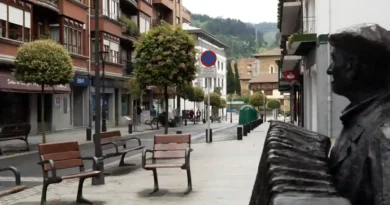 Arrigorriaga comercio