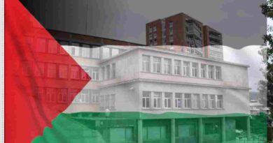 Ayuntamiento de Basauri Palestina concentración