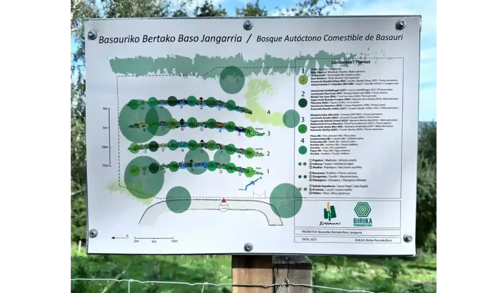 bosque comestible sintrópico Basauri