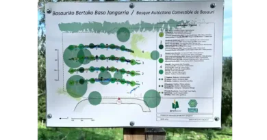 bosque comestible sintrópico Basauri