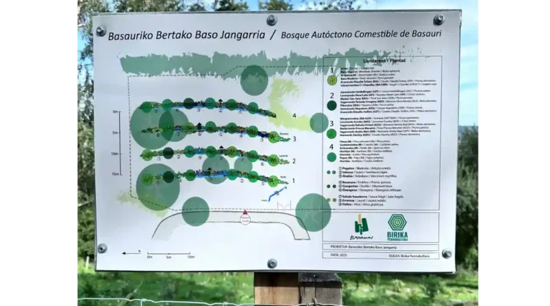 bosque comestible sintrópico Basauri
