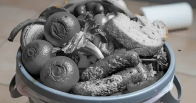 Talleres contra el desperdicio alimentario Arrigorriaga