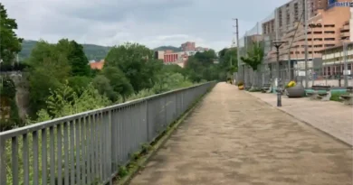 Corte tráfico peatonal pasarela Soloarte