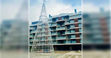 Basauri iluminación árbol Arizgoiti