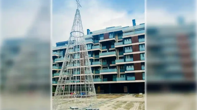 Basauri iluminación árbol Arizgoiti