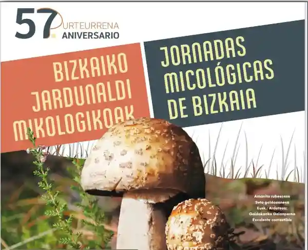 Jornadas Micológicas Galdakao