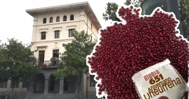 Ugao-Miraballes concurso de alubias