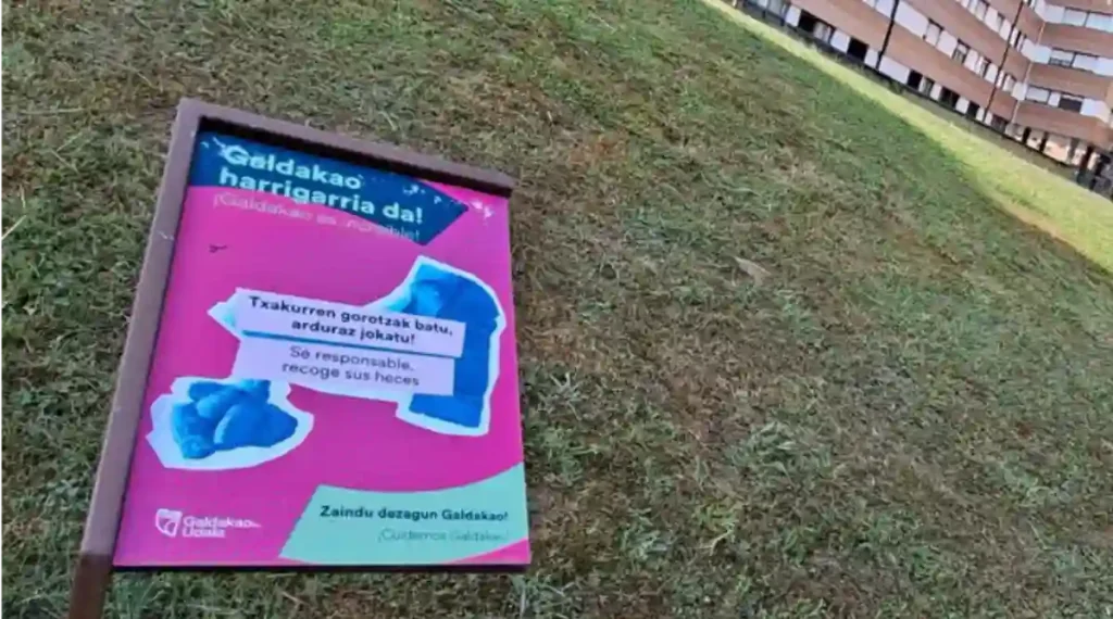 Galdakao campaña ordenado y limpio