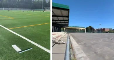 Arrigorriaga cesped ecológico