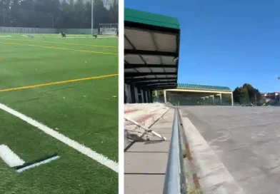 Arrigorriaga cesped ecológico