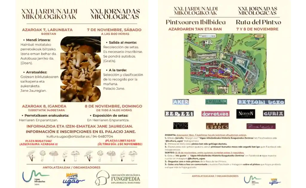 Jornadas Micológicas Ugao-Miraballes