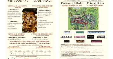 Jornadas Micológicas Ugao-Miraballes
